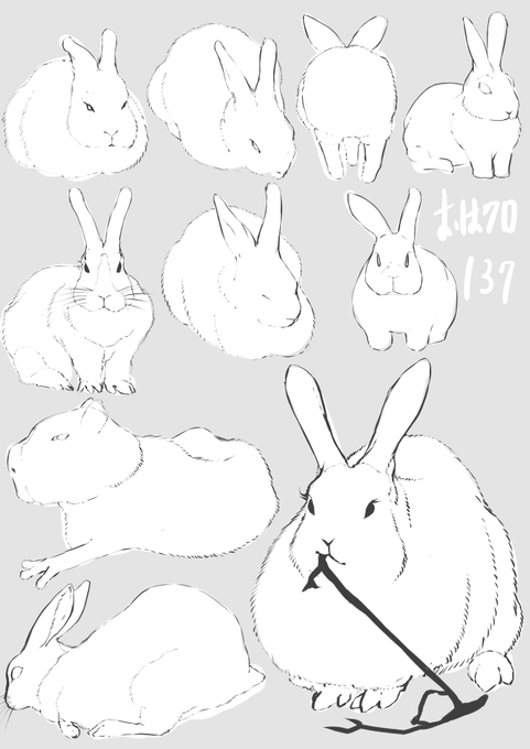 おはクロ 137日目
動物むずすぎ吐きそう
#おはクロ 