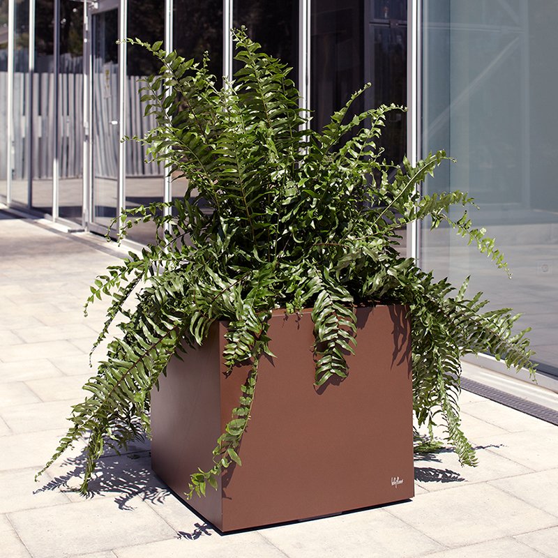 Different shapes and colored hydroplanters to redecorate your corners.

#HobbyFlower