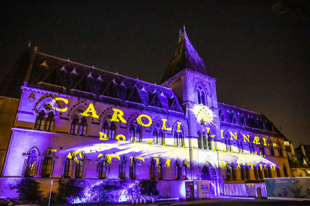 pwalkersculptor's tweet photo. Delighted to have worked with some fantastic partners again this year across #oxford - art doesn’t have to stop because of Covid - it can thrive @OxfordCity @FusionArtsOx @bodleianlibs @morethanadodo @Pitt_Rivers @ChChCathedralOx @SMVOxford @OXChristmas @ace_national @luxmuralis https://t.co/0zx9LUHG0b