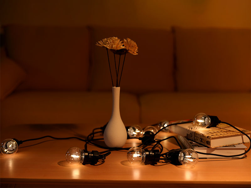 iled_lighting's tweet image. led cafe string lights highlights the outstanding quality! iled-light.com/50-festoon-str… #Ledcafestringlights #festoonstringlights