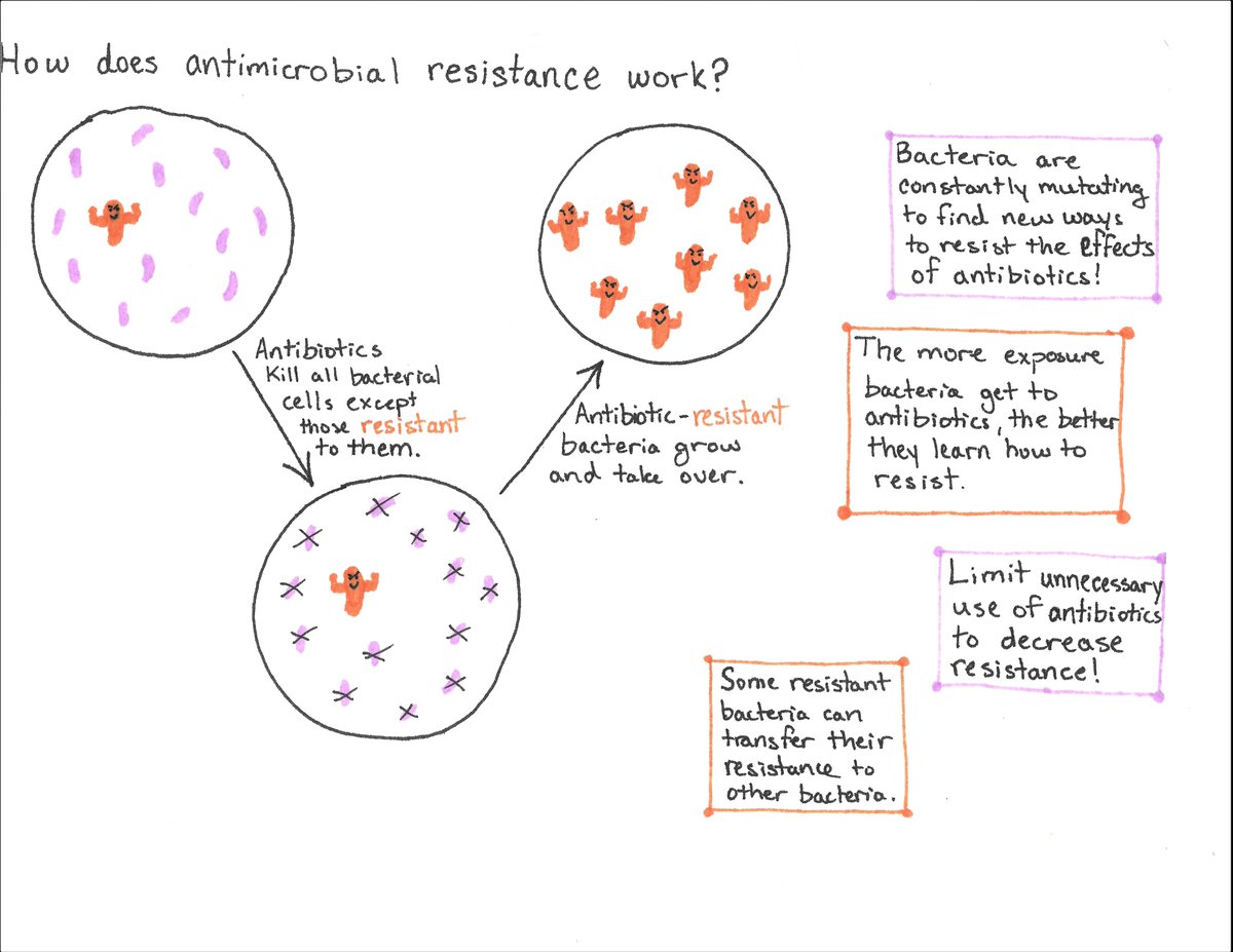 gmt4128's tweet photo. Happy World Antimicrobial Awareness week! Antimicrobial is a global issue that too few people know about. We are now seeing bacteria, called superbugs, resistant to multiple antibiotics! Help spread awareness about this issue! #WAAW2020TE https://t.co/sO3K3yA5xp