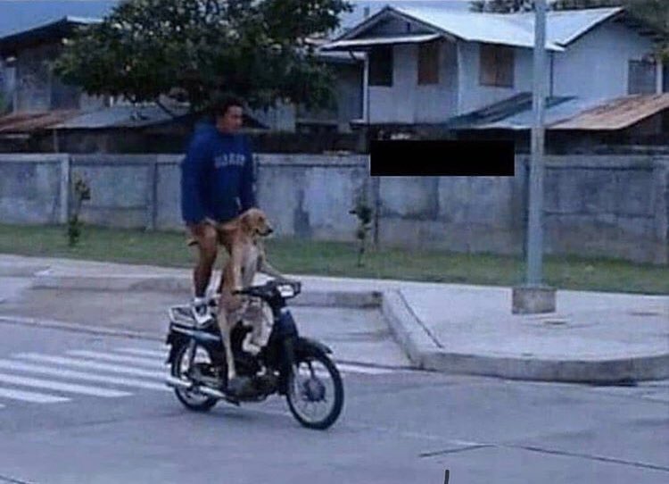 Yuvrajsv1rk's tweet image. JINDA HA HUM BHAROSEWALO 🙂. AA RHE HA HUM