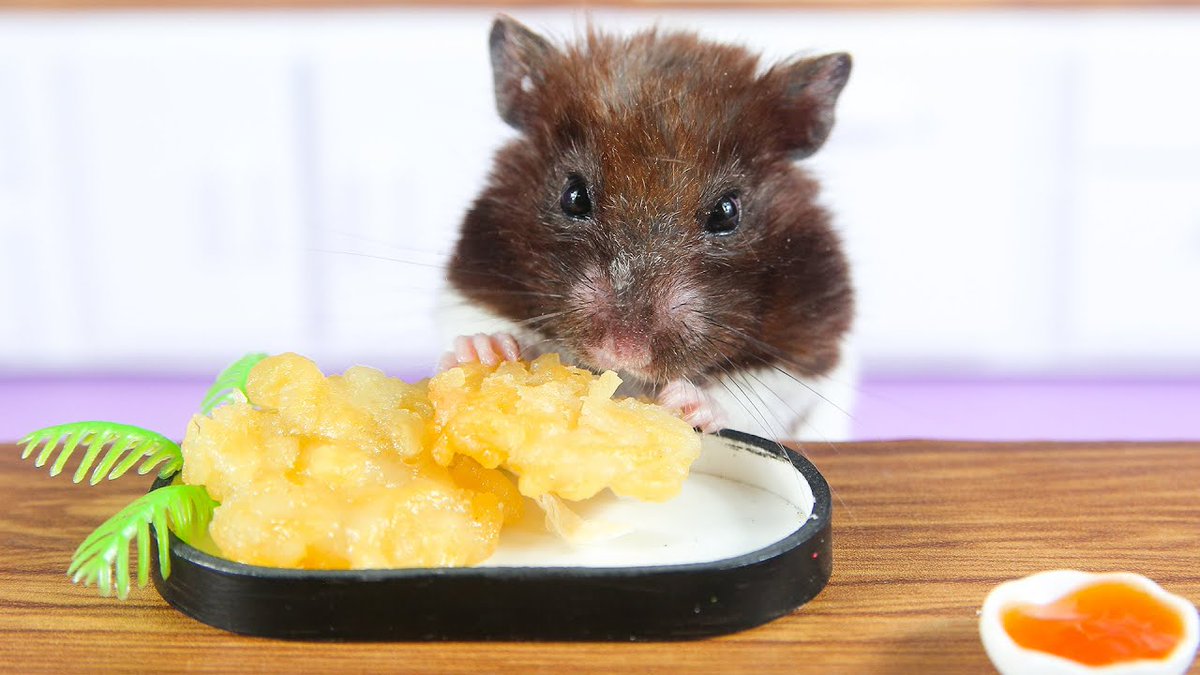 MinaEllen94's tweet photo. How to cook Crispy shrimp noodles with my Hamster | mini cooking https://t.co/baiF03h62W
#likeforlike #follobackforfolloback #pets #cute #food #challenge #adorable #Creative #ToyStory #games #DIY #miniatures #HandmadeInUK #kitchens #Winteriscoming #noodle https://t.co/QNOzpKm2tb