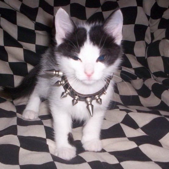 🗂 (@binnyfolder) on Twitter photo 