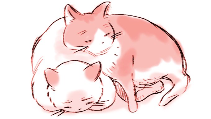 おもそう🐱🐱 