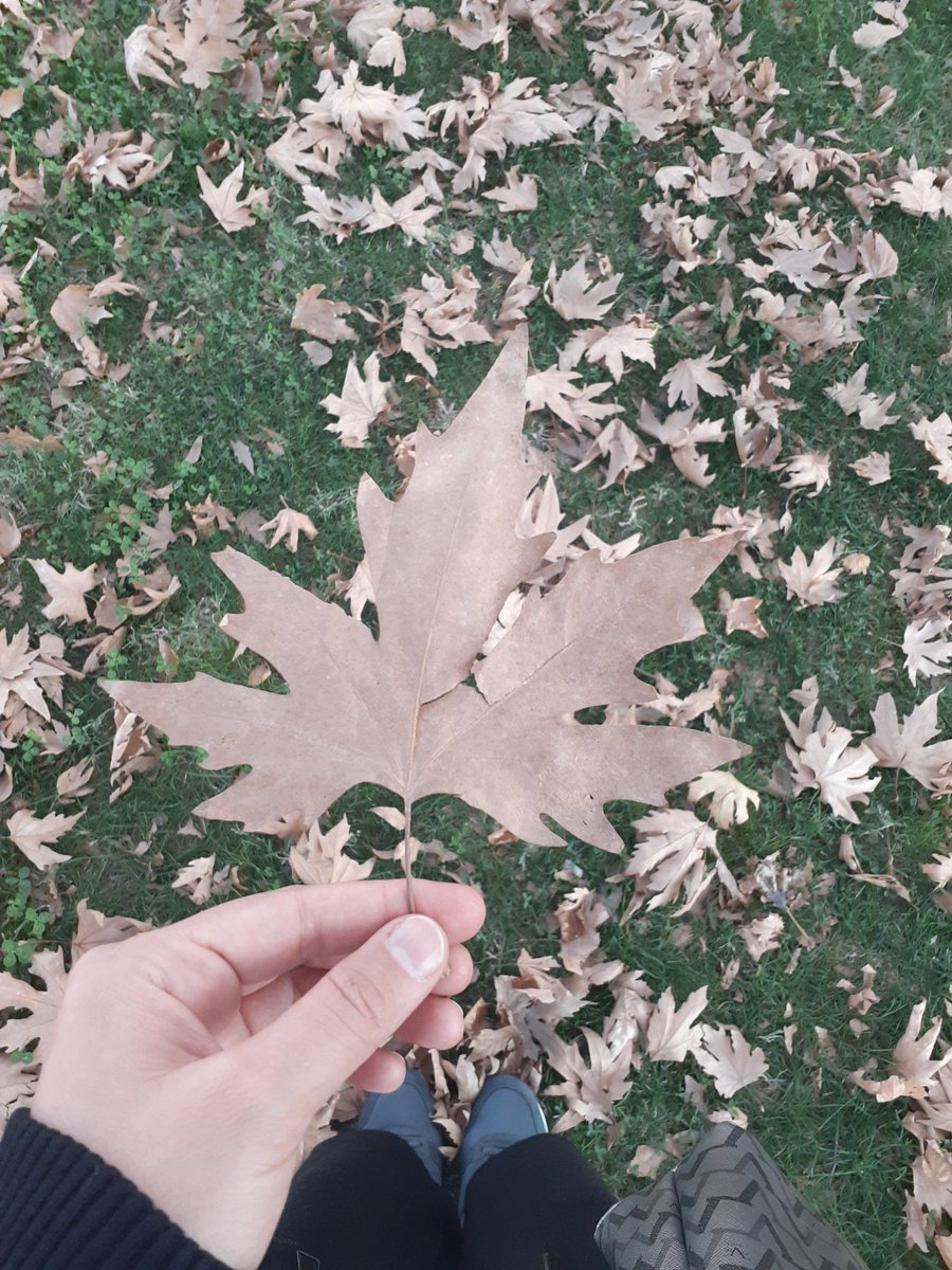 Erva67214773's tweet photo. Günaydınlar Tiwitir ahalisi 🙋‍♀️ https://t.co/SSwq4inW8A
