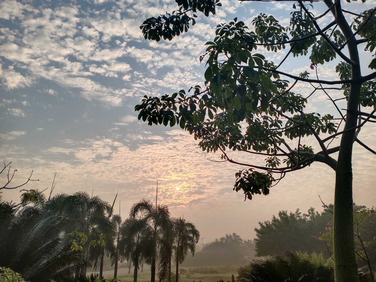 MisraSheela's tweet photo. #NatureAtBest,#PostiveMoods,#MorningBeauty
@chairperson_icc,@ady_sri_1
,@durgesh_101 ,@DurgeshAIHLU The mighty Sun enjoys the play of little clouds and smiles when the clouds think they have overshadowed Him, enjoying the playful nature! https://t.co/6RhWfRHMV8