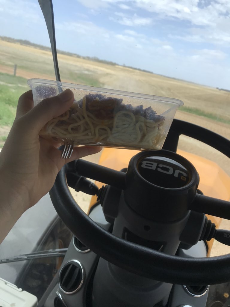 Amelia Stone tweet media