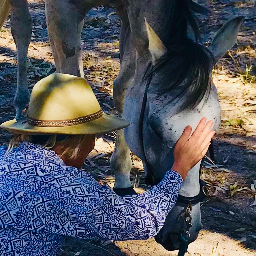 LauraOneSpirit's tweet image. Laura Bird Visits Albany December 4 &amp;amp; 5th, 2020 - mailchi.mp/e37c37135aac/g…
Limited spaces for you or your animals. Because we are all connected and you, your beloved horse or dog or other pets deserve the best.