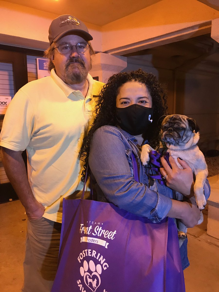 And now with the help of Erica Vazquez, her boyfriend and the team at Front Street Animal Shelter, Chato will travel 17 hours on the road back into Sandra’s arms. Never. Give. Up. Hope.