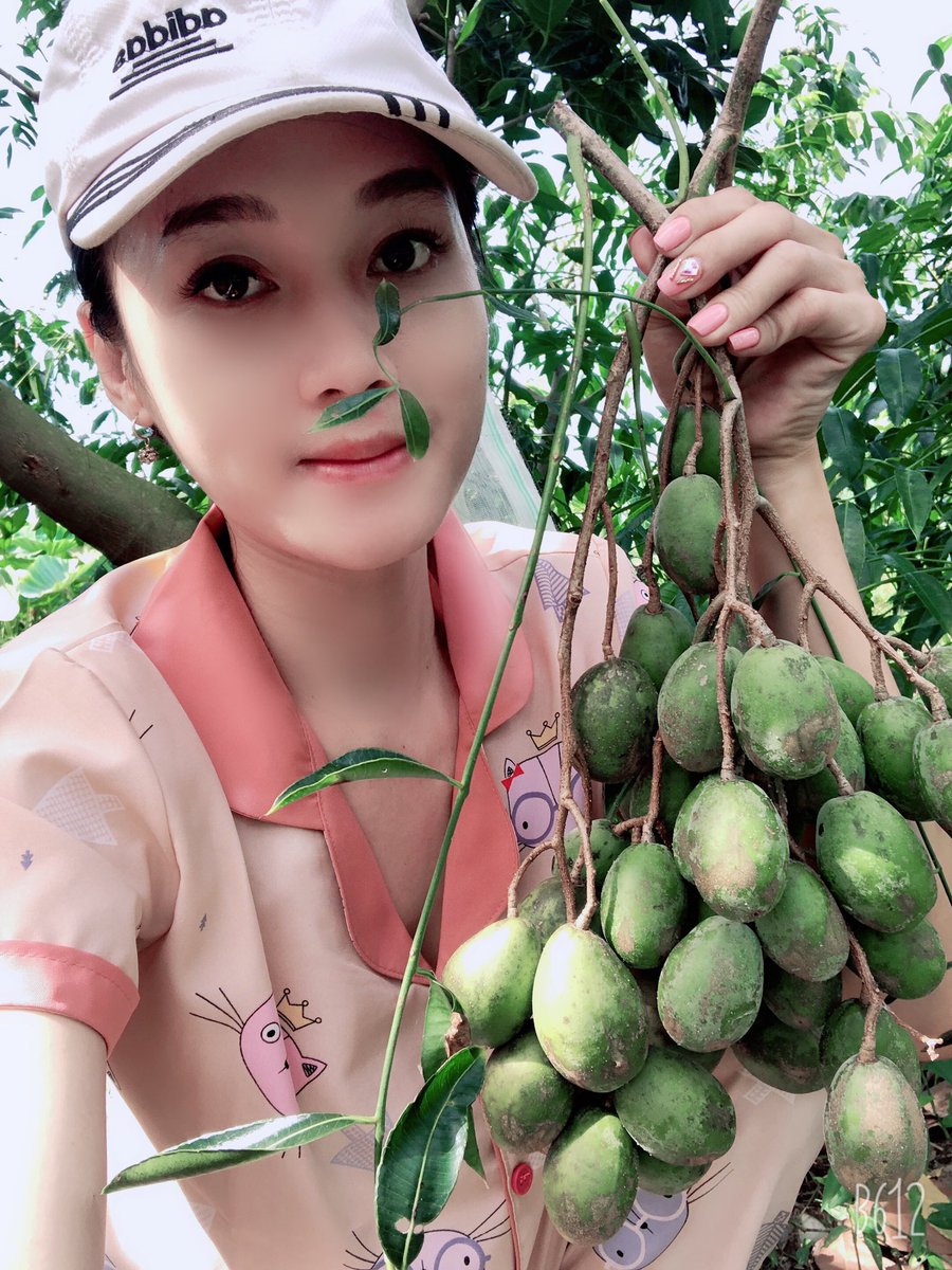 Tangainhi8976's tweet photo. Vườn tiêu quê ngoại 🤗 https://t.co/Bpc3rpPSOu