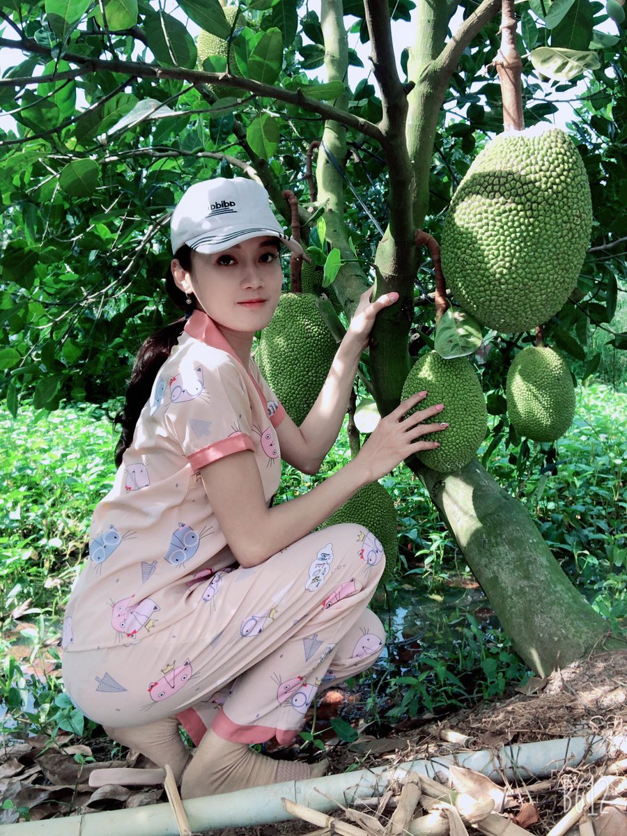 Tangainhi8976's tweet photo. Vườn tiêu quê ngoại 🤗 https://t.co/Bpc3rpPSOu