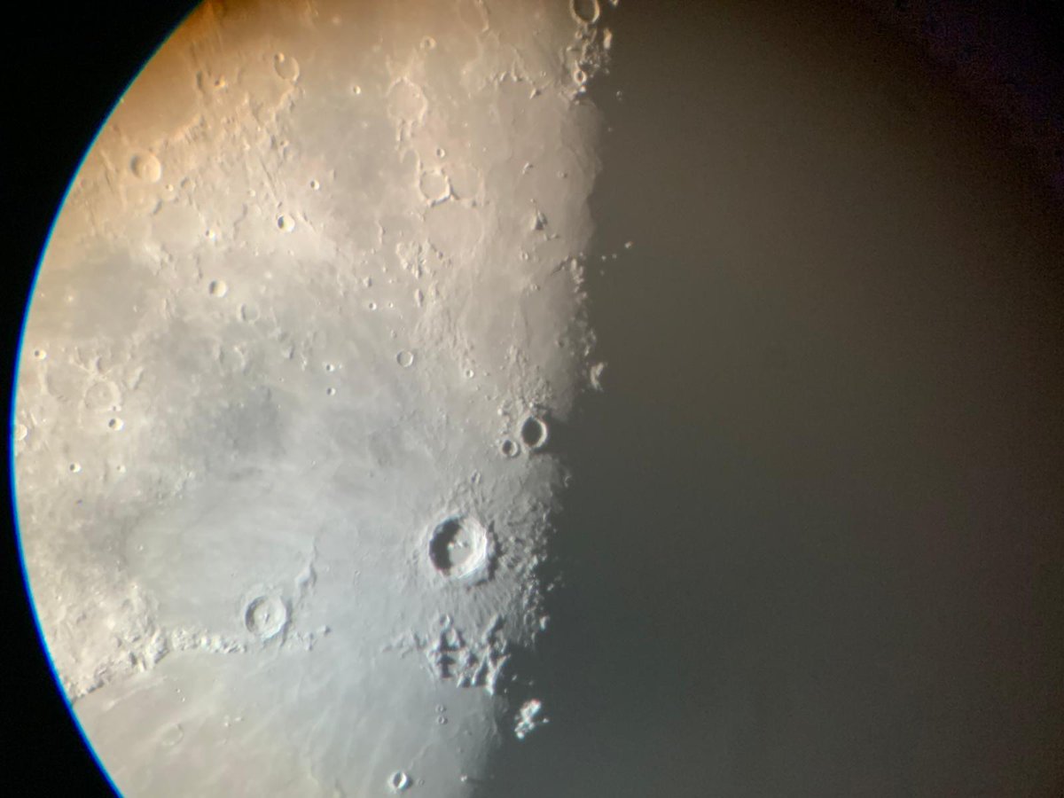 FloAMX-》》》🐘 tweet media