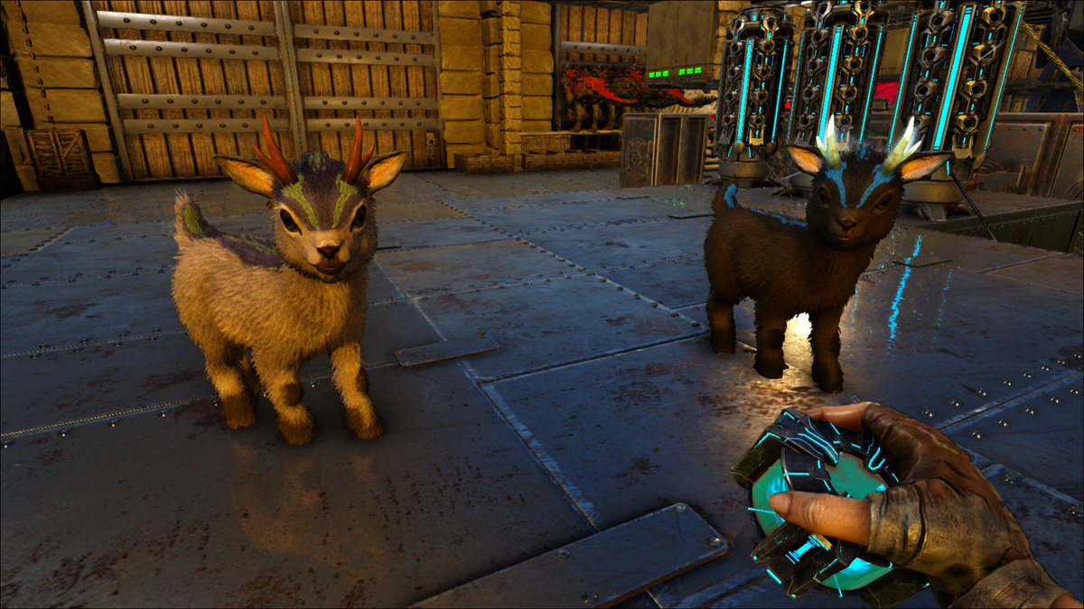 Thrassic Thrassic Twitter