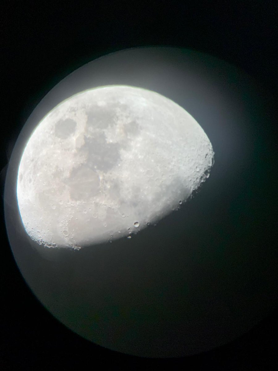 FloAMX-》》》🐘 tweet media