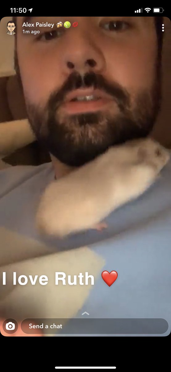 ohmygoshorn's tweet photo. Everyone please #PrayForRuth

Paisley is on what appears to be a solo bender tonight and really seems to be taking Ruth along for the ride. https://t.co/hZJ6o8ttFu