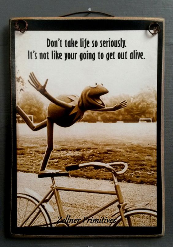 MTBDating's tweet image. Who wants to get high AF and ride with obviously stoned Kermit? 🤔

MTBDating.com

#mtb #mountainbiking #mountainbike #mountainbiker #mountainbikers