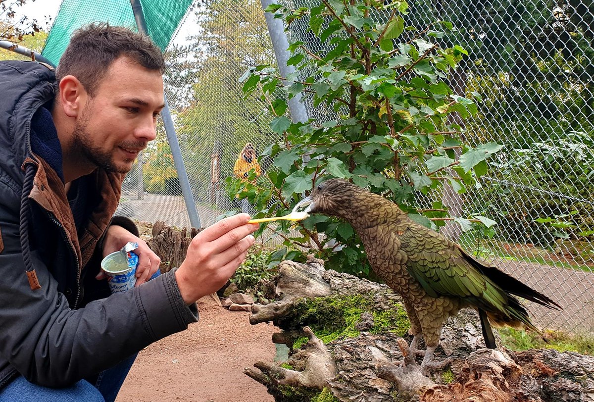 EducatorsIz's tweet photo. Faces of IZE: Stories of zoo &amp; aquarium educators from around the world. 
Name:  Stephan Worm
Institution: Serengeti-Park Hodenhagen
Years as educator: 5
Favourite animal: parrots
#ize #zooaquariumeducators #izeducators #izeday2020 #izeday https://t.co/0hIPm61Owt