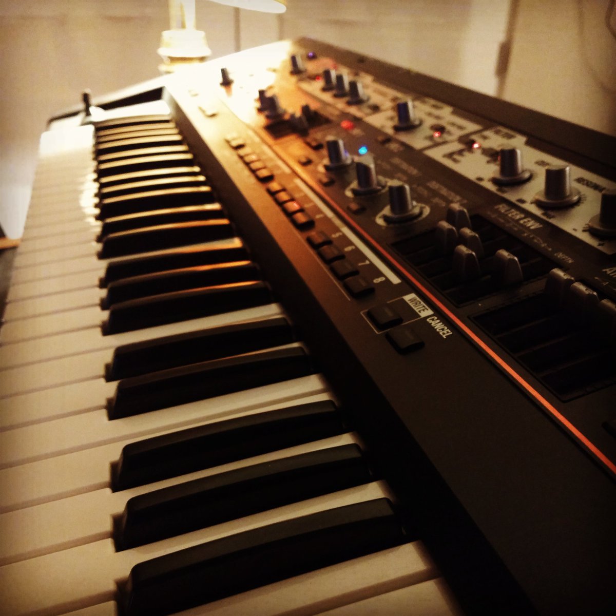SynthsThis's tweet photo. String me Sh-201. Ahh, thank you! Don't pull my #synthstrings #thismakessynths https://t.co/wTjrltzQ3D