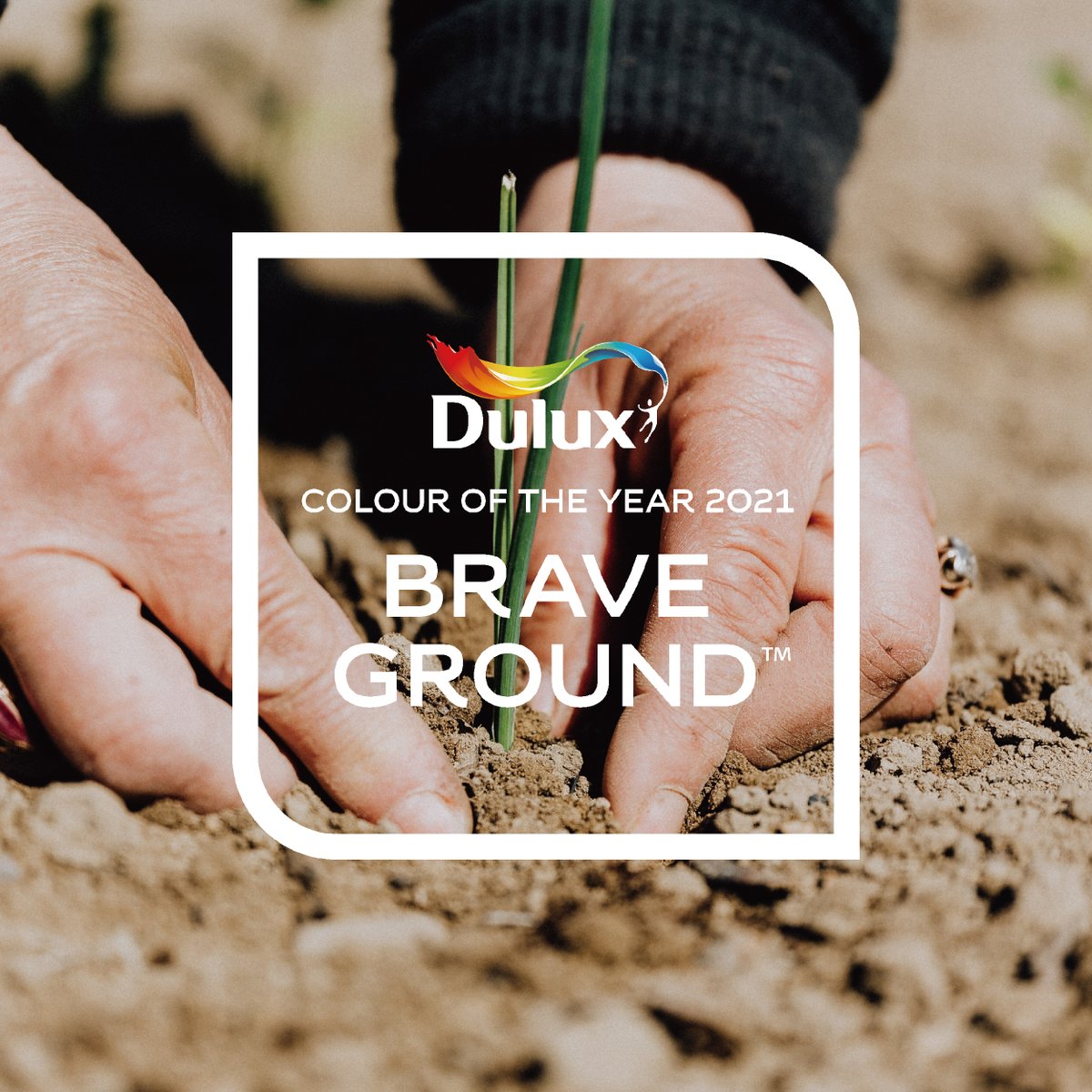 uafloors's tweet photo. 🌈THE COLOR TRENDS FOR 2021🌈  
DULUX COLOR OF THE YEAR: 
WARM COMFORTING HUES AND BRIGHT COLOR POPS
🌈BRAVE GROUND(10YY 30/106) is a color that can easily be combined with other hues.
💖Deliver 4 meanings💖  
🖍️#EXPRESSIVECOLORS 
🖍️#TRUSTCOLORS 
🖍️#TIMELESSCOLORS 
🖍️#EARTHCOLORS https://t.co/qtuSVWkd9E
