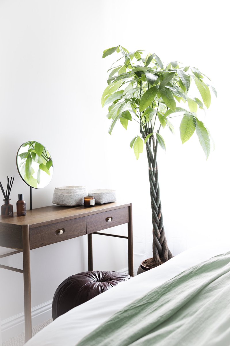 D_I_Designs's tweet photo. We 💚 the addition of a plant in a room scheme and of course the natural tones work beautifully with wooden furniture. Here our Burford dressing table works in harmony with the greenery 💚 #houseofsuisui https://t.co/OLGehgE3ZH