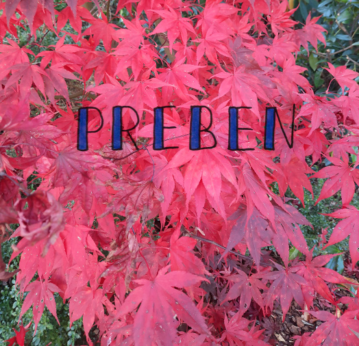 NordicNames's tweet photo. Name of the Week: Preben - a Danish name with Wendish roots meaning 'first in battle'
https://t.co/L9MNjTaB3C
#nordicnames
#Preben
#nordicnameoftheweek
#danishnames
#wendish https://t.co/lHRAuWRVE3