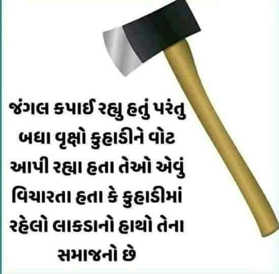 rjram7745's tweet photo. https://t.co/nscksxqwxp