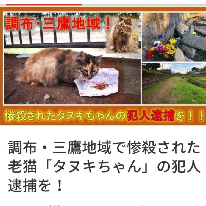 動物虐待許せない 動物虐待許せない