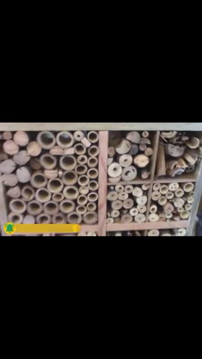 SGefao's tweet photo. HOTEL DE INSECTOS en #frecuencia 
#FelizInicioDeSemana
@Dinagapostemon @Soslindavista  @EcosdeAragon @YoCreciEnAragon @jardinviviente @ccccdmx https://t.co/I8Np7H49wu