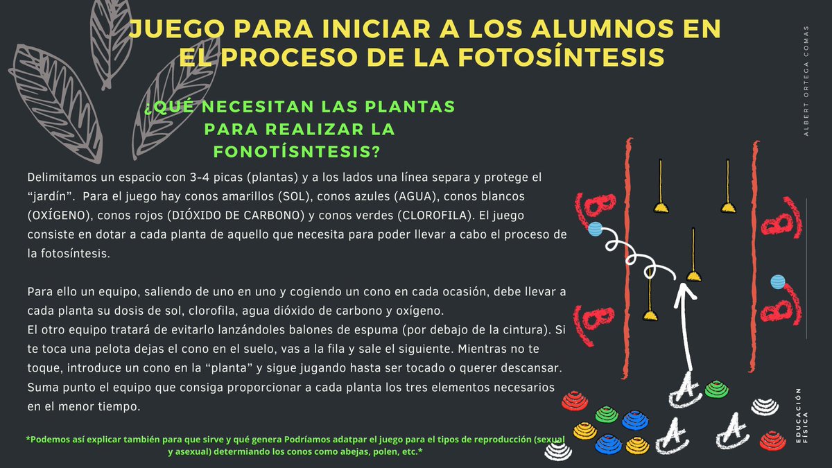 Albert Ortega tweet media