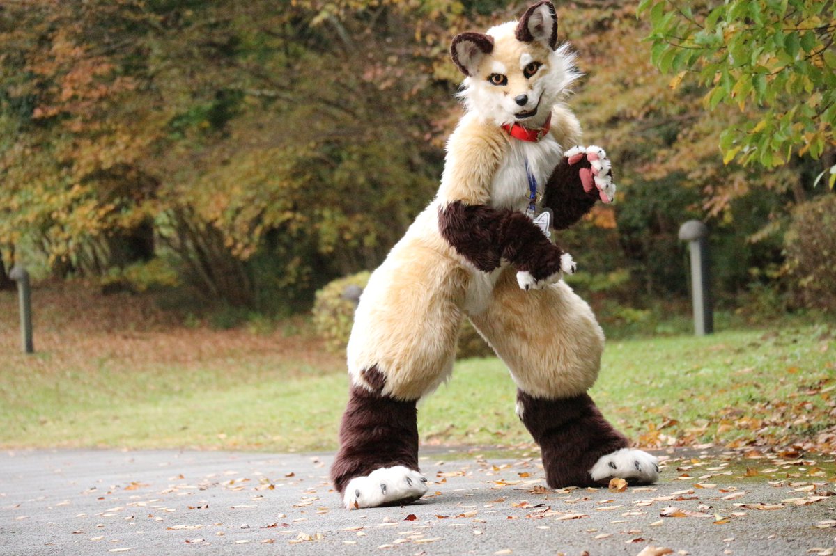 ももう Momou 着ぐるみ リアル系 半リアル系 フォルトくらい の着ぐるみのコミッションです ヘッドのみ ハーフスーツ フルスーツ対応します フルスーツは要相談 種族は基本なんでも作りますが 慣れていない種族の場合は時間やコストが