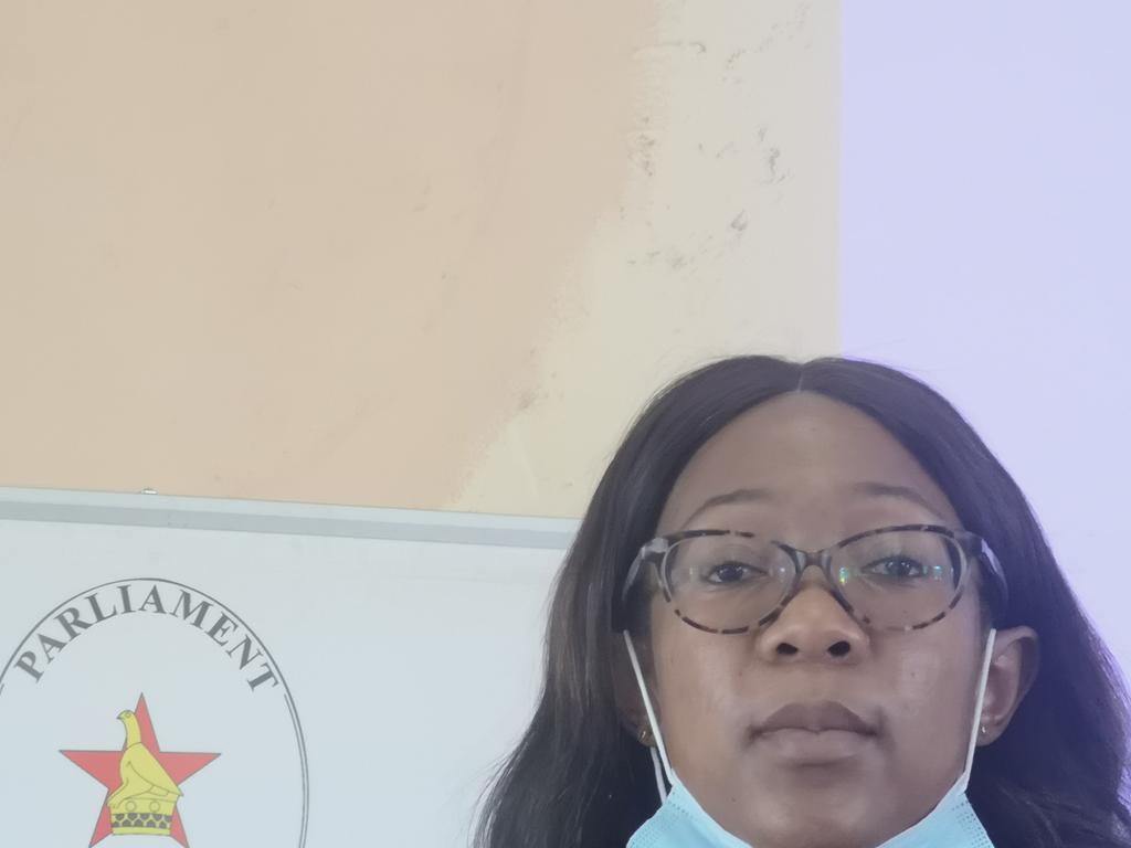 ZELO_Infor's tweet photo. @ZELA_Infor's Legal Officer Michelle Matsvaire emphasizes the need for the artisanal and small-scale miners to be formally recognised in the Mines Bill #MMAB
#The contribution of the #ASMINZIM delivery of the yellow metal to @FPR_ZW is well documented.
#ParlyTraining
#STACAP https://t.co/JzjvyHj1HI