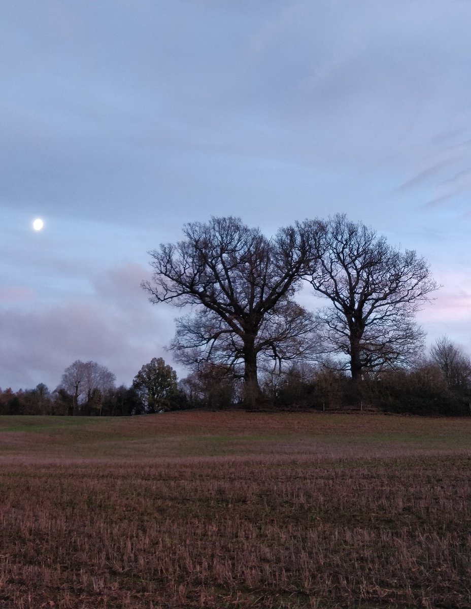 BletchingleyRH1's tweet photo. Another short day in Bletchingley https://t.co/Y81prj6czK