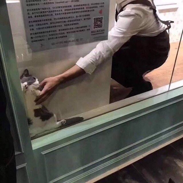 aqiwax's tweet image. กูที่อยากจะเลิกรัก              เขาคนนั้น