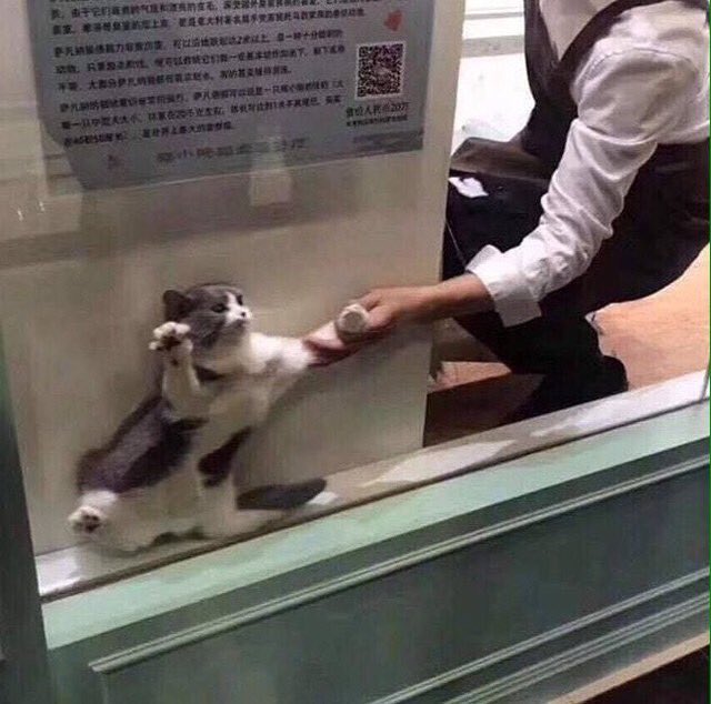 aqiwax's tweet image. กูที่อยากจะเลิกรัก              เขาคนนั้น