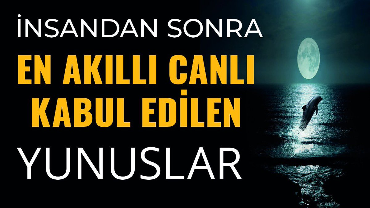 Yunuslar dünyanın en zeki hayvanlarından biri.

Zekalarının akıllı bir köpekle eşit olduğu düşünülüyor. Bu nedenle çok çabuk öğreniyorlar.

••• youtube.com/watch?v=YPZwAY…