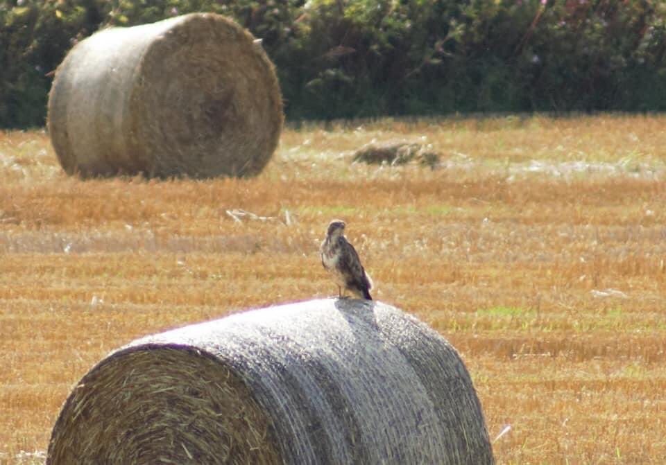 PlanningForOurFuture tweet media