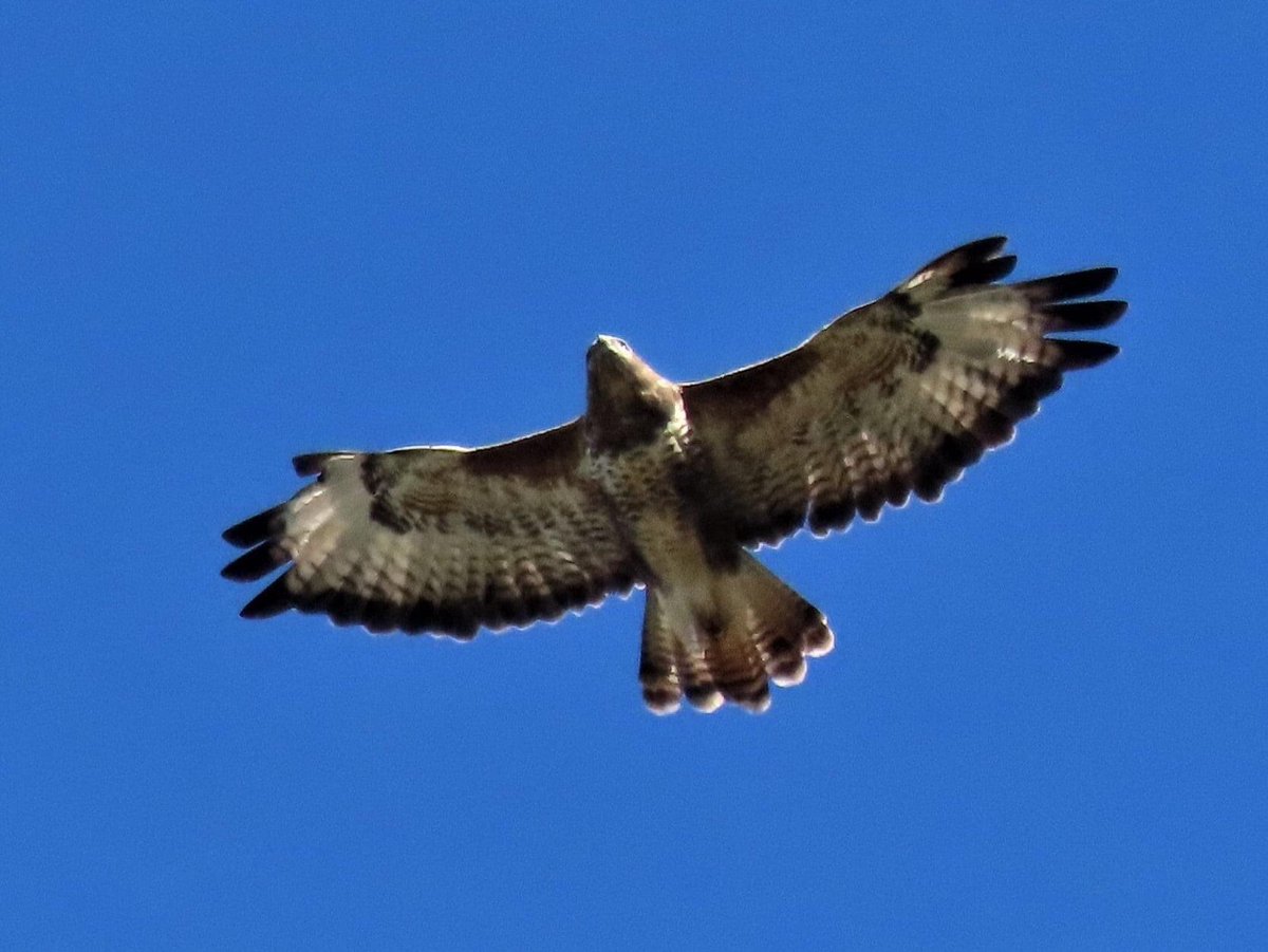 PlanningForOurFuture tweet media