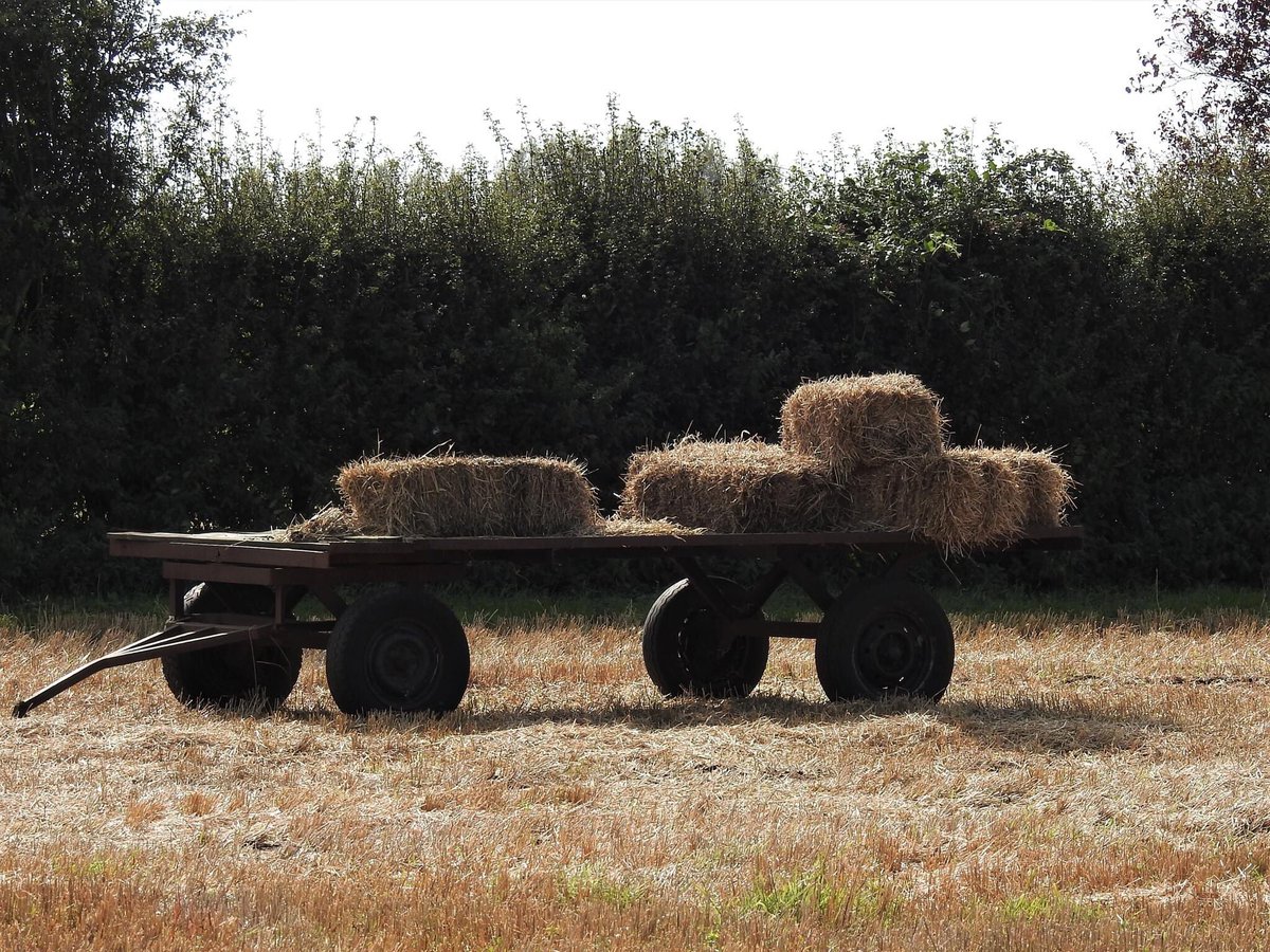 PlanningForOurFuture tweet media