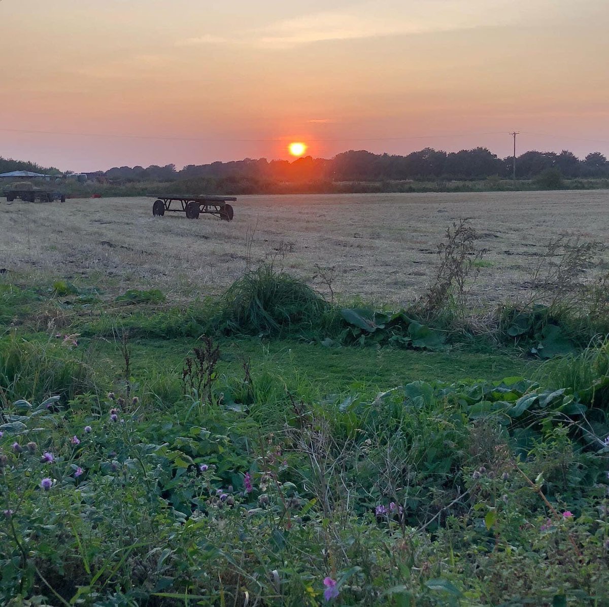 PlanningForOurFuture tweet media