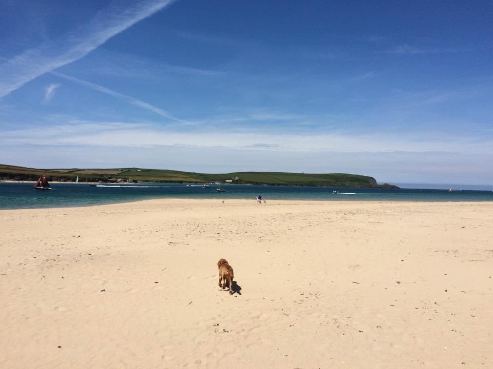 GmanPMW's tweet photo. #MyCornishFavourite... the walk from Rock beach to Daymer Bay. Who needs the Med when we have this?!! https://t.co/CQEKnDZwi7