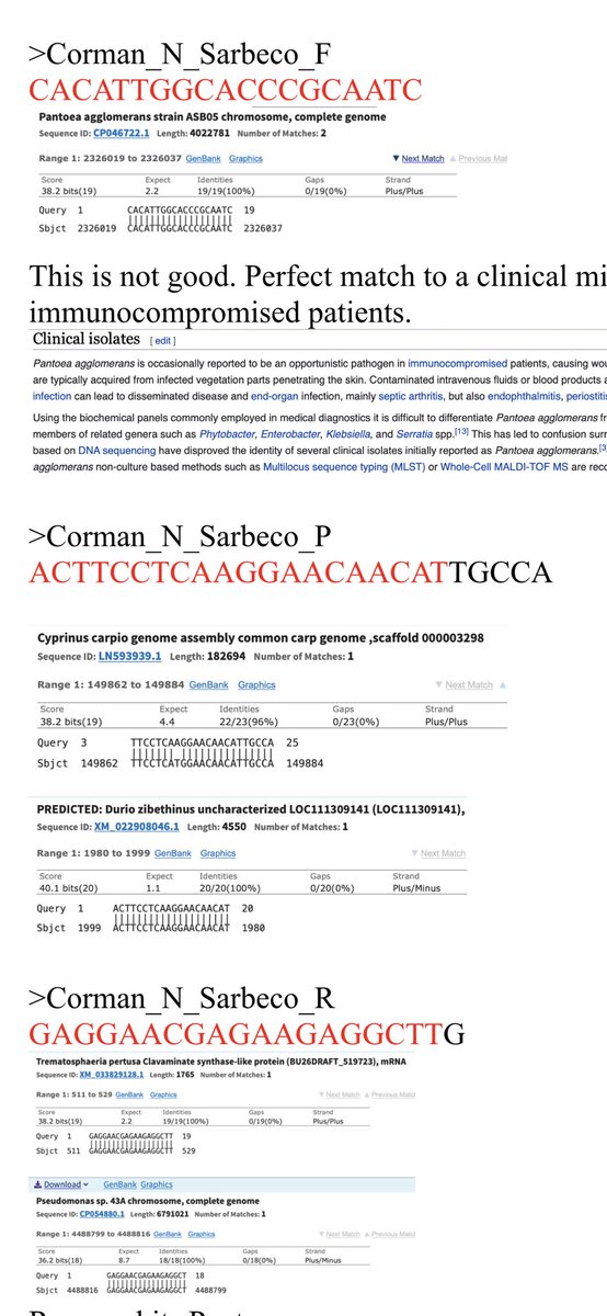 There is a long list of hits. I’ve only highlighted a few.You can copy and paste the above primers into NCBI BLAST and have a hay day poking through potential hits. https://blast.ncbi.nlm.nih.gov/Blast.cgi?PROGRAM=blastn&PAGE_TYPE=BlastSearch&LINK_LOC=blasthome