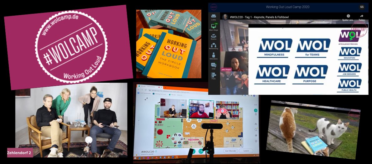 Das #WOLC20 ist gestartet! <a href="/johnstepper/">John Stepper</a> berichtet über die vielen Möglichkeiten von #WOL: #Mindfulness, #ForTeams, #Healthcare, #Purpose, #JobSeekers, #Education, #PublicHealth, #FrauenStärken

Jede Menge Chancen sich zu vernetzen, gemeinsam zu wachsen🌱&amp; Neues zu entdecken🚀