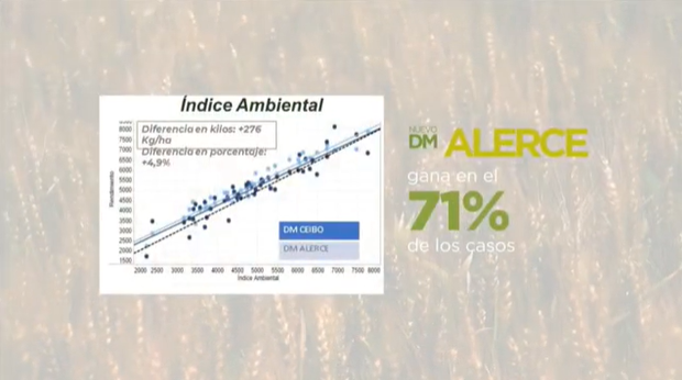 DONMARIOoficial's tweet photo. "Gran rendimiento de la variedad #DMAlerce, gana en el 71% de los casos a #DMCeibo" Enzo Cieri, en #DONMARIOMASTRIGO 🌾 https://t.co/z5n9lvBmSM