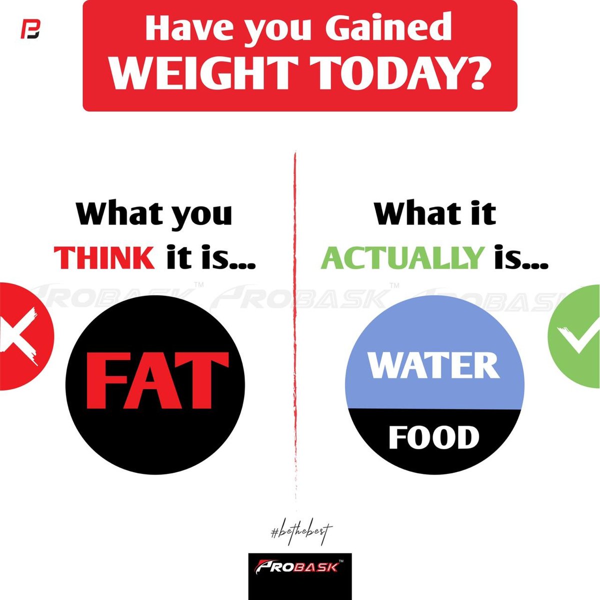theprobask's tweet photo. Have you gained weight today? https://t.co/73ulg5vEuU