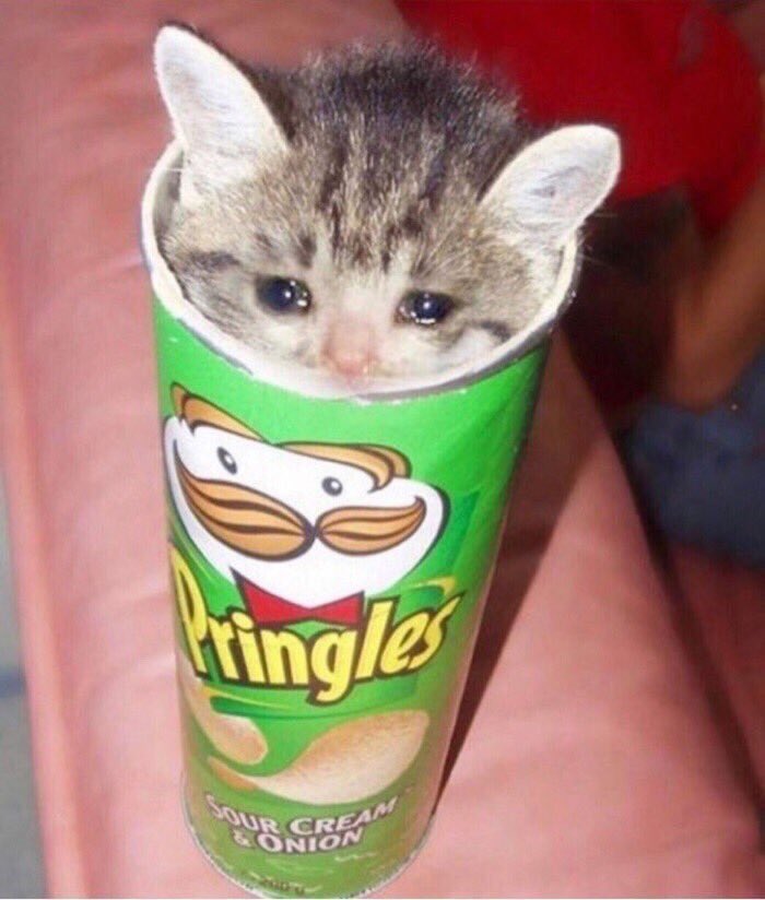 น้องเซ่เป็นอะไร