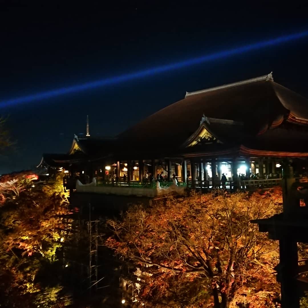 seigadotoen's tweet photo. 紅葉は少し見頃が過ぎましたが、まだまだキレイに色づいてます。境内では「うつわ男子」の展示も始まりました。
清水寺 秋の夜の特別拝観
11月30日(月)まで
#京都 #清水寺 #京焼 #清水焼 #清雅堂陶苑 #秋 #夜間拝観 #紅葉 #うつわ男子
#kyoto #kiyomizudera #autumn #mapleleaf #nightviewing https://t.co/5BGZm8WvIT