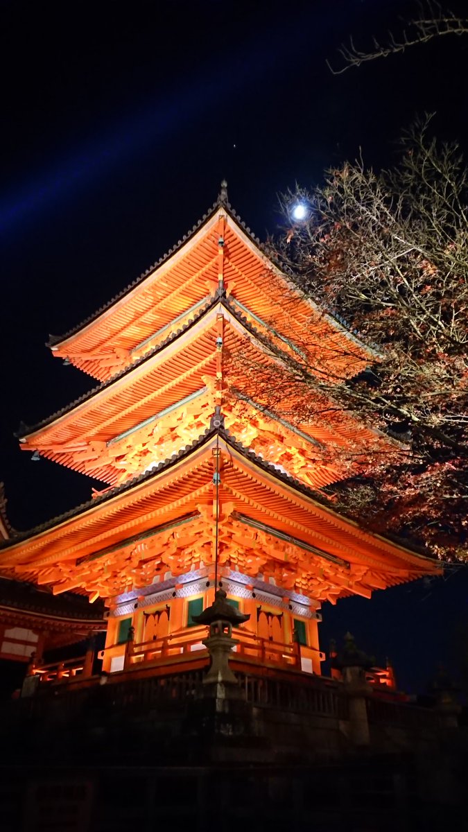seigadotoen's tweet photo. 紅葉は少し見頃が過ぎましたが、まだまだキレイに色づいてます。境内では「うつわ男子」の展示も始まりました。
清水寺 秋の夜の特別拝観
11月30日(月)まで
#京都 #清水寺 #京焼 #清水焼 #清雅堂陶苑 #秋 #夜間拝観 #紅葉 #うつわ男子
#kyoto #kiyomizudera #autumn #mapleleaf #nightviewing https://t.co/5BGZm8WvIT