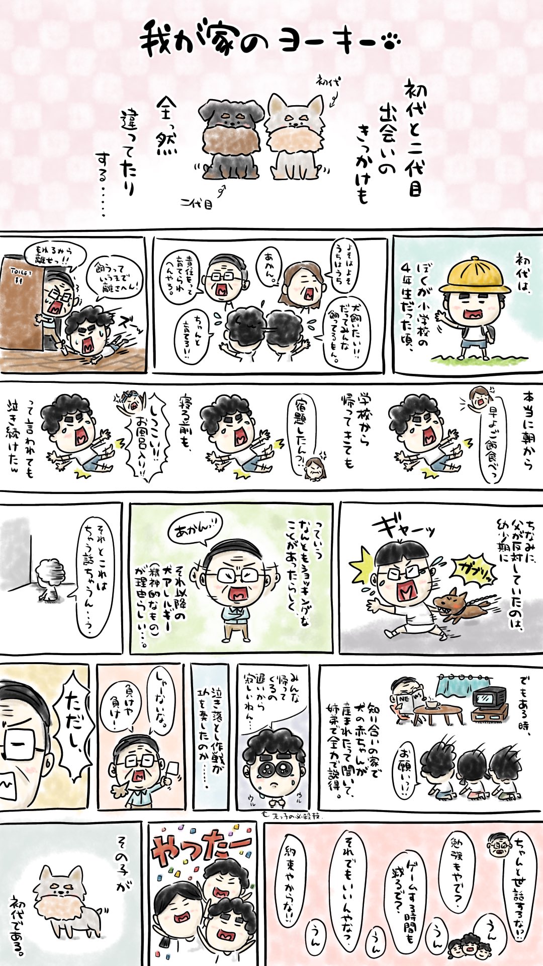 たかぎつぶお 我が家のヨーキー 第5弾 2匹との感動的な出会いを漫画化 犬を飼うときって 各々の家庭の事情とかでハプニングだらけ 我が家のヨーキー ヨークシャーテリア ヨーキー 犬 コミックエッセイ 漫画 イラスト T Co