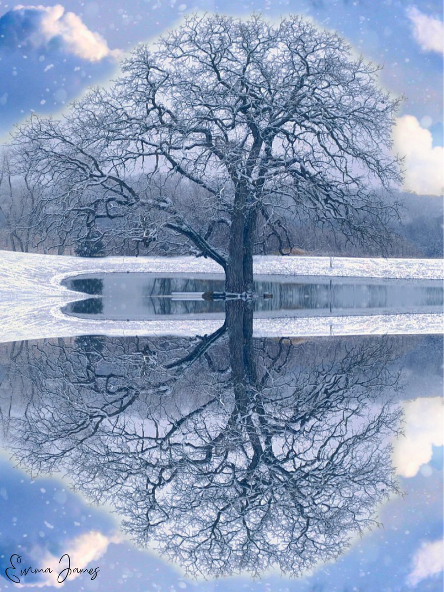 𝒮𝓃ℴ𝓌𝓎 𝓇ℯ𝒻𝓁ℯ𝒸𝓉𝒾ℴ𝓃𝓈 𝒶𝓉 ℒℴ𝓋ℯ𝓇𝓈 𝓁𝒶𝓀ℯ ❄️💕💙 (click photo to see full image) 
#reflection #reflectionphotography #snow #snowphotography #snowcovered #snowyday #snowflakes #naturephotography #mirrorimage #oak #oaktree #creativephotography #lakephotography
